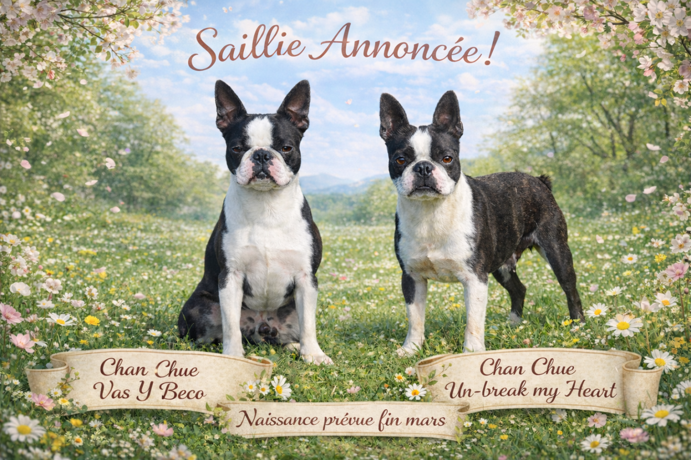 Des bébés pour le printemps !!!