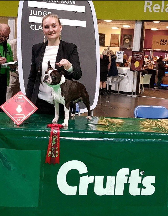 Chan Chue - CRUFTS 2018